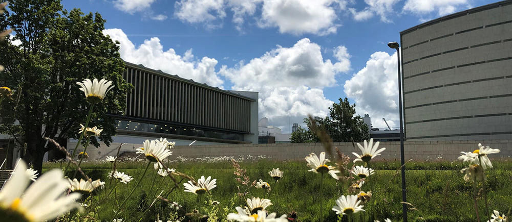 Navigate to this Product's page