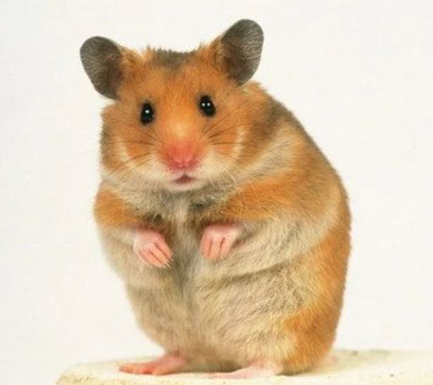 Navigate to this Product's page