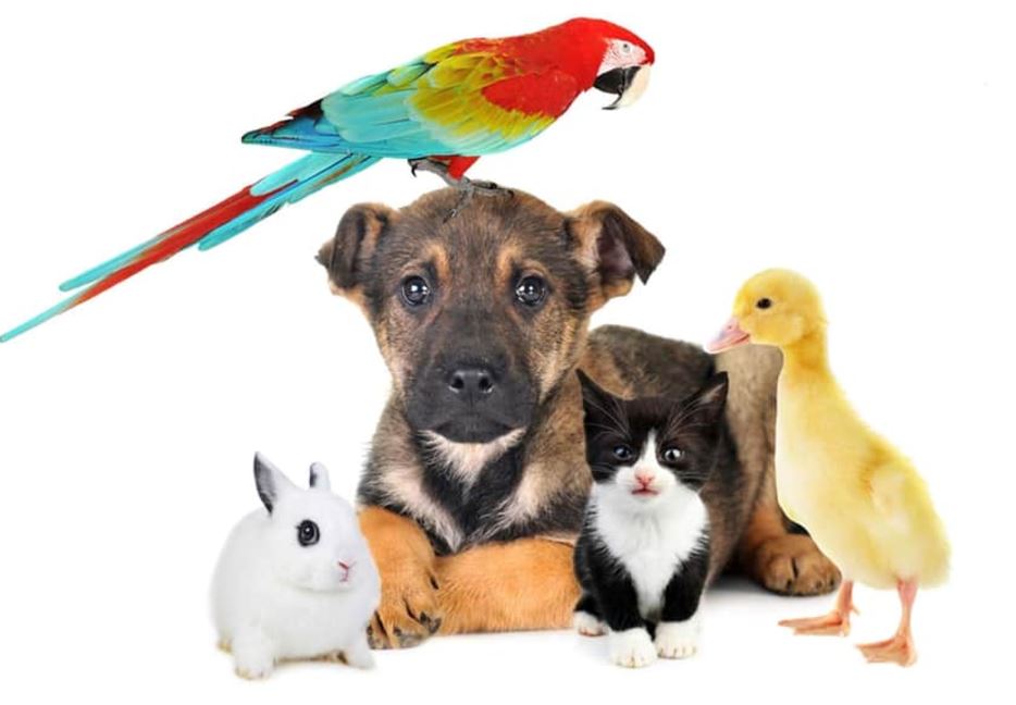 Navigate to this Product's page